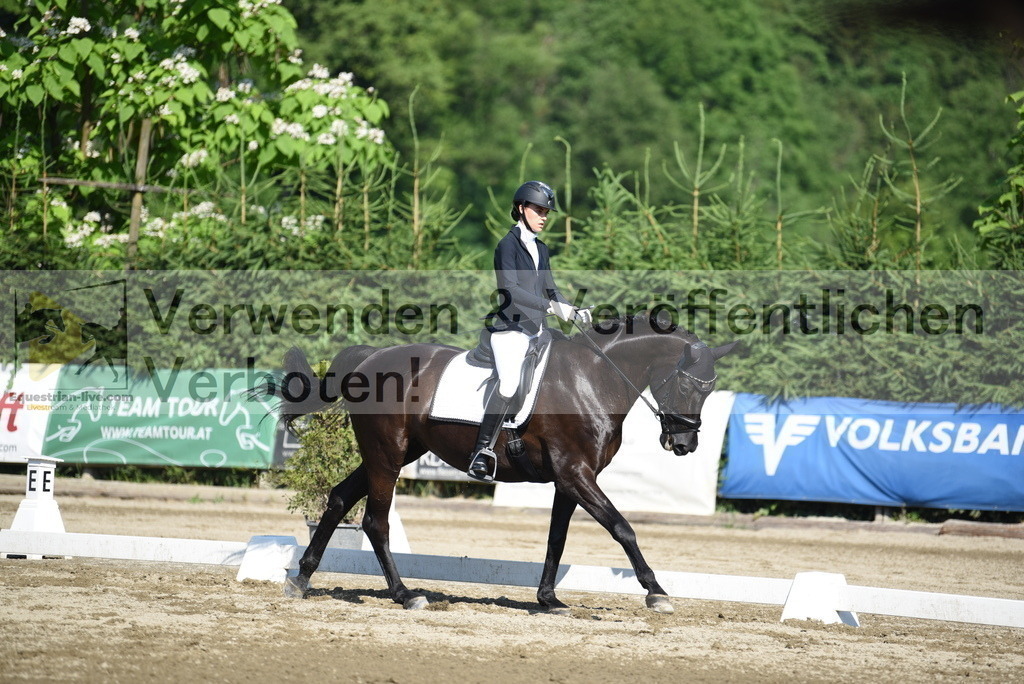 DSC_7388 | equestrian-live-com