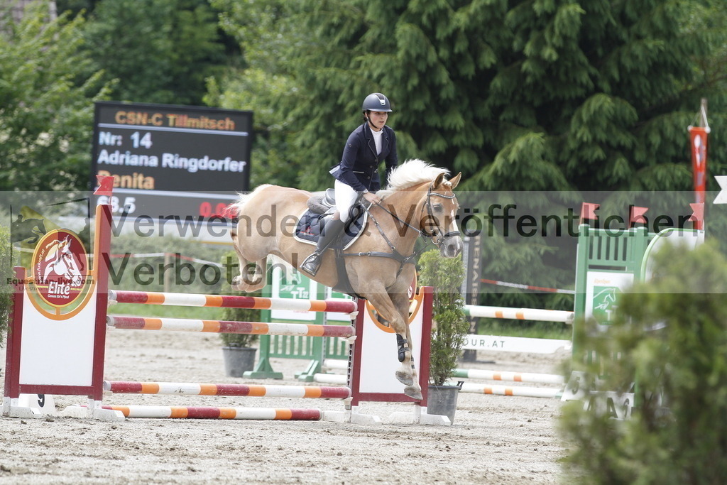 _MG_6184 | equestrian-live-com