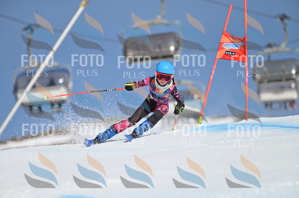 BGV_8861 | holidayphoto