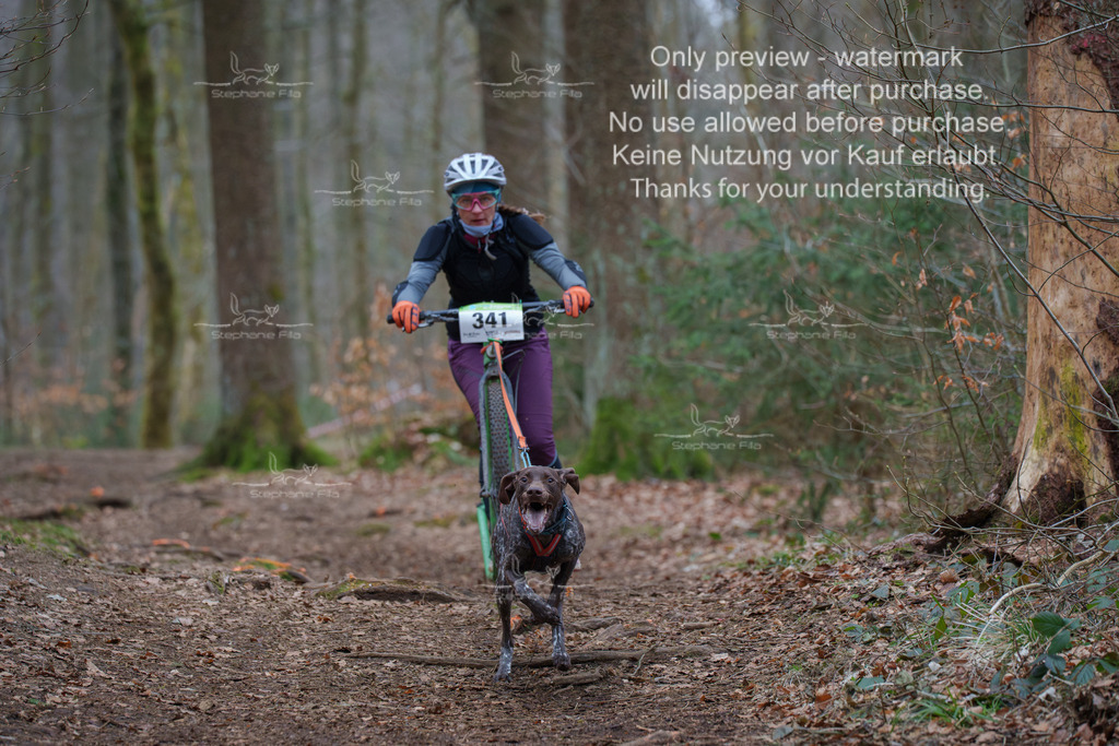 Scooter_So-66 | stephaniefillaphotographie - Realisiert mit Pictrs.com