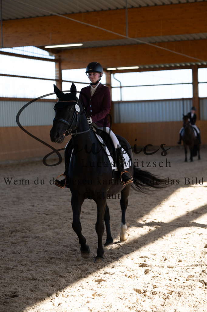 A7V02009 | Pferdefotograf