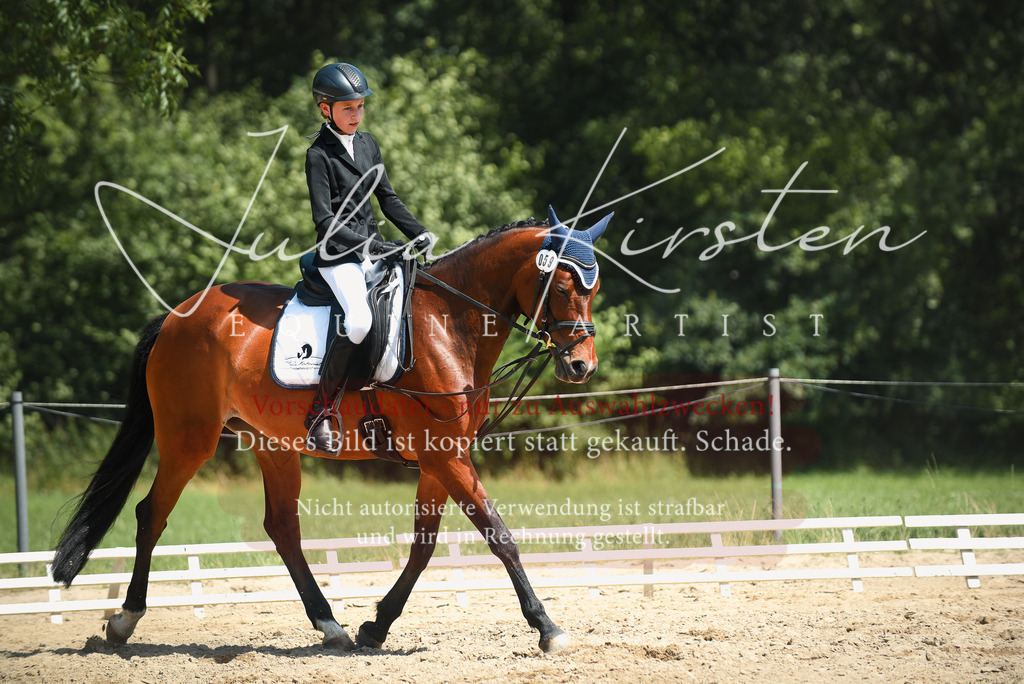 DSC_2301 | Pferde- und Turnierfotografie in Westsachsen. Pferdeportraits, Auftragszeichnungen und intuitive Kunst.