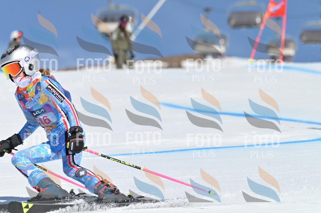 BGV_8472 | holidayphoto