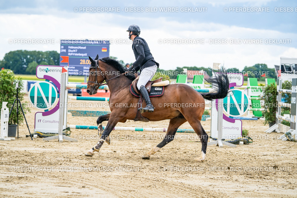 DSC06072 | Pferdegrafie