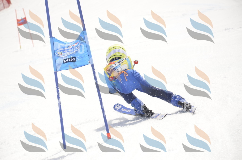 _ELE8766 | holidayphoto