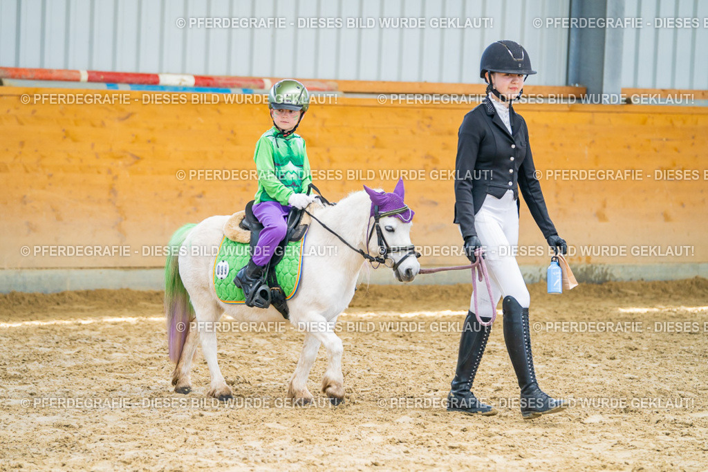 DSC00393 | Pferdegrafie