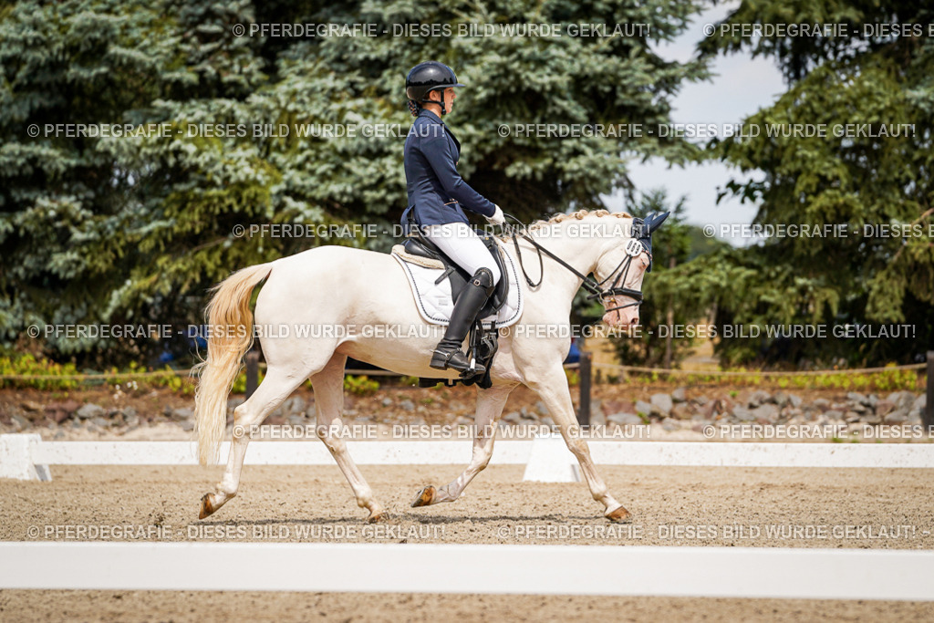 DSC04165 | Pferdegrafie