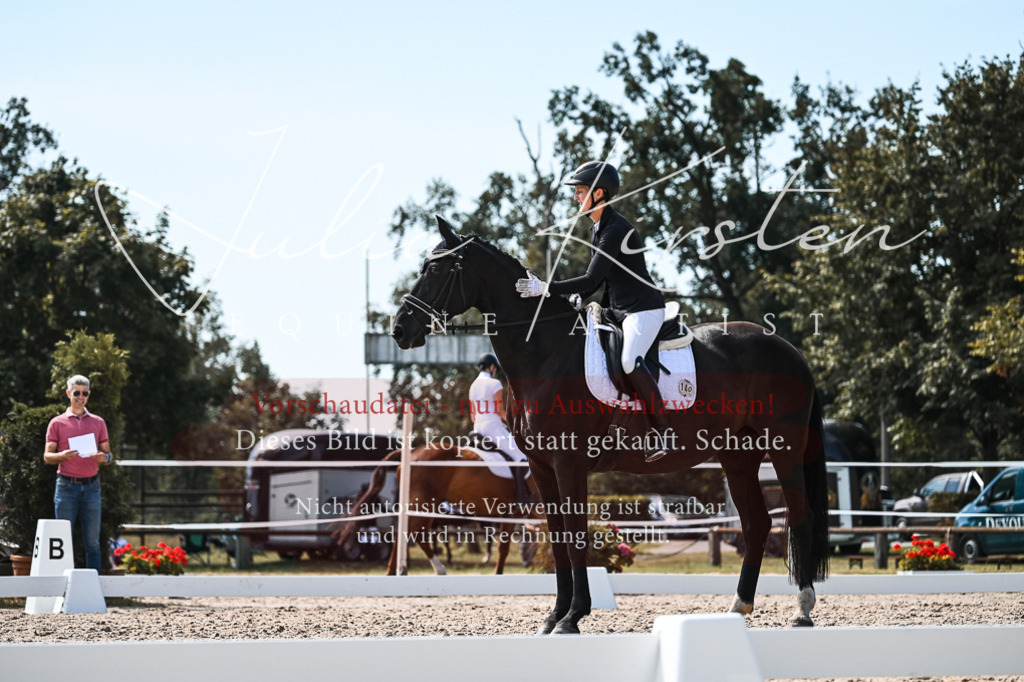DSC_5364 | Pferde- und Turnierfotografie in Westsachsen. Pferdeportraits, Auftragszeichnungen und intuitive Kunst.