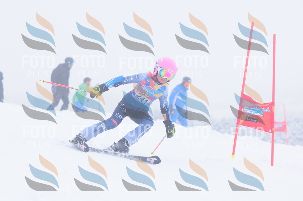 C2531 | holidayphoto