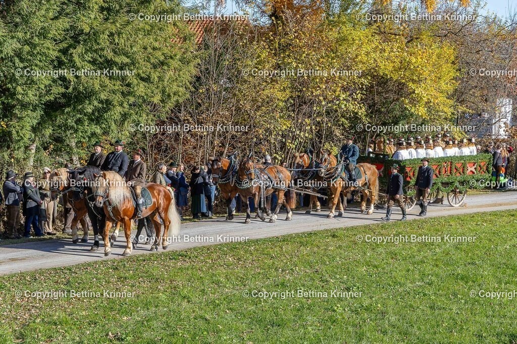 LBT25-767 | foto-bettina-krinner - Realisiert mit Pictrs.com