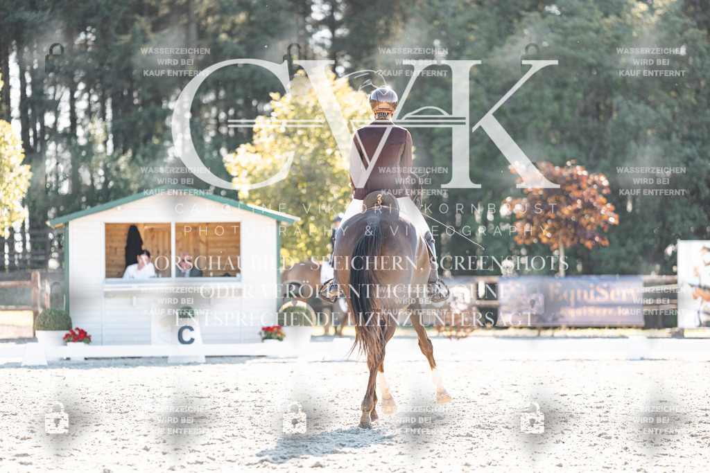 CK906559 | Turnierfotografie Pferdefotografie Trier Rheinland-Pfalz Pferdesport Reitsport Tierfotografie Sportfotografie Pferdevideo Pferdevideografie Equestrianvideography equestrianphotography  - Realisiert mit Pictrs.com