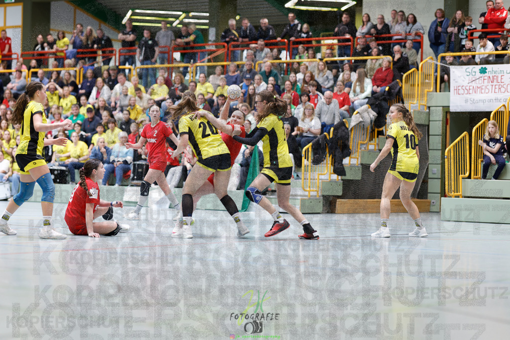Hessenmeisterschaft wJC - Finale; HSG Kleenheim - HSG Weiterstadt/ Braunsh.Worf. | Hessenmeisterschaft wJC - Finale; HSG Kleenheim - HSG Weiterstadt/ Braunsh.Worf. am 22.03.2025 in Biedenkopf (Sporthalle Lahntalschule)Photo © 2025 - Jörg Heinrich - Realisiert mit Pictrs.com