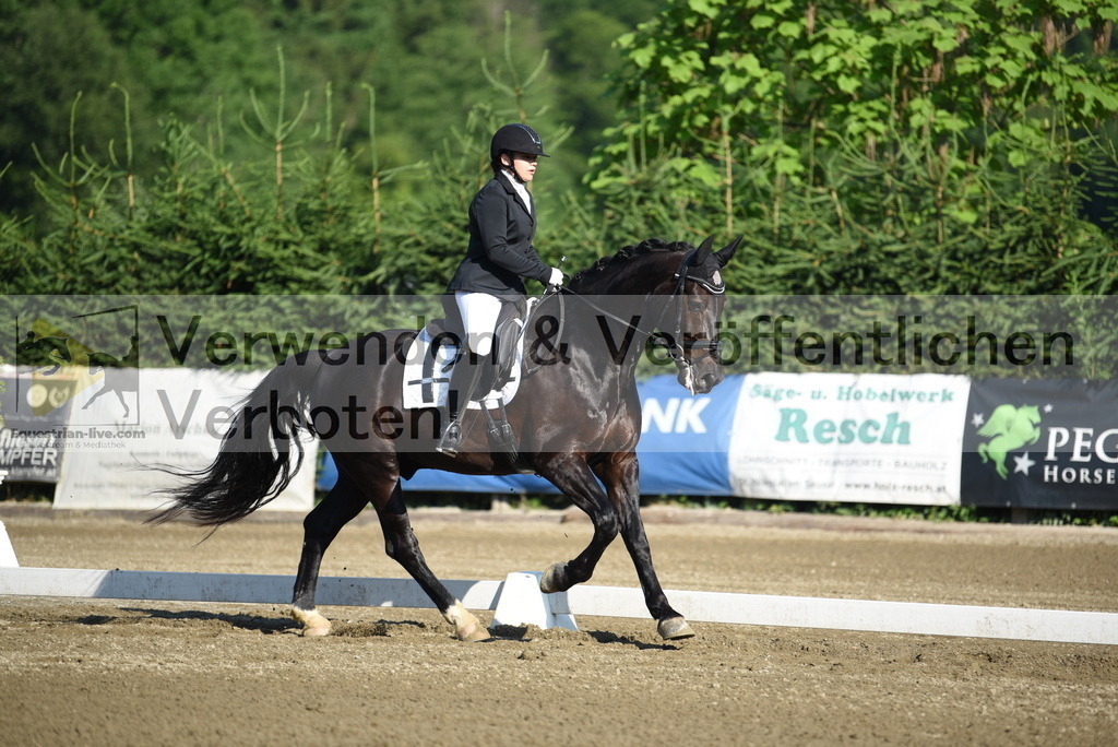 DSC_6896 | equestrian-live-com