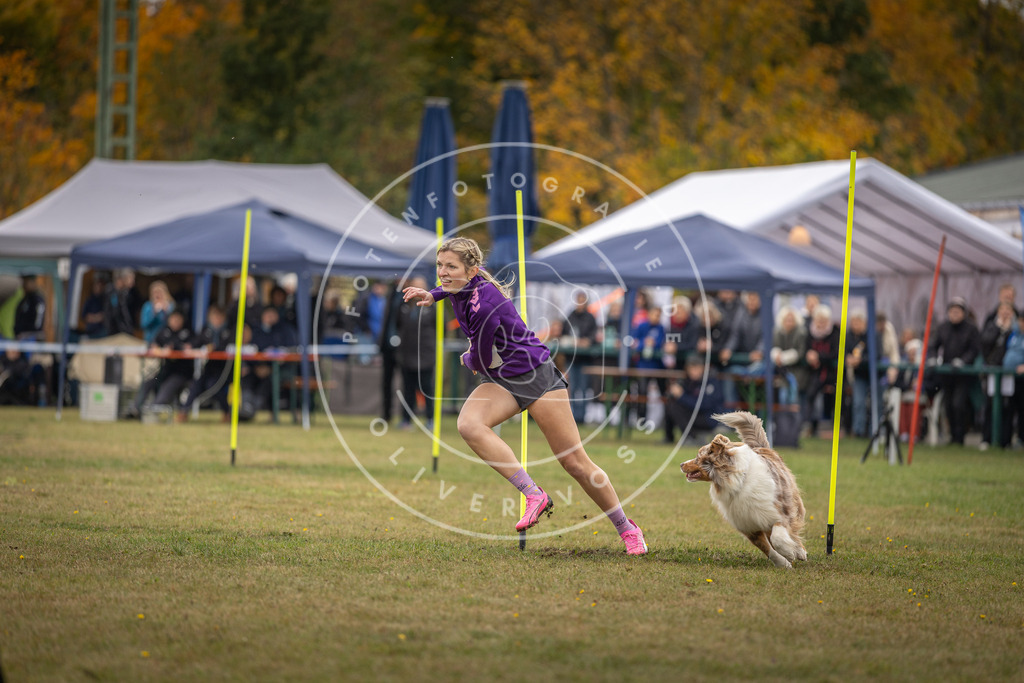 Pfotenfotografie_DV3A7652 | Hundefotografie, Tierfotograf, Pfotenfotografie, Fotoshooting Hund, Hunde Portrait, Hundesport, Hundeportraits, Heideshooting, Hunde, Sportfotograf, Hundefotograf, Turnierhundsport, THS,  - Realisiert mit Pictrs.com