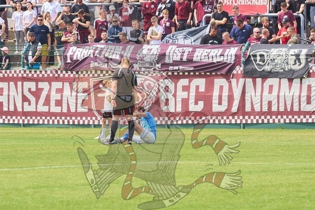 BFC Dynamo vs. FSV 63 Luckenwalde 077 | mythos-online-redaktion