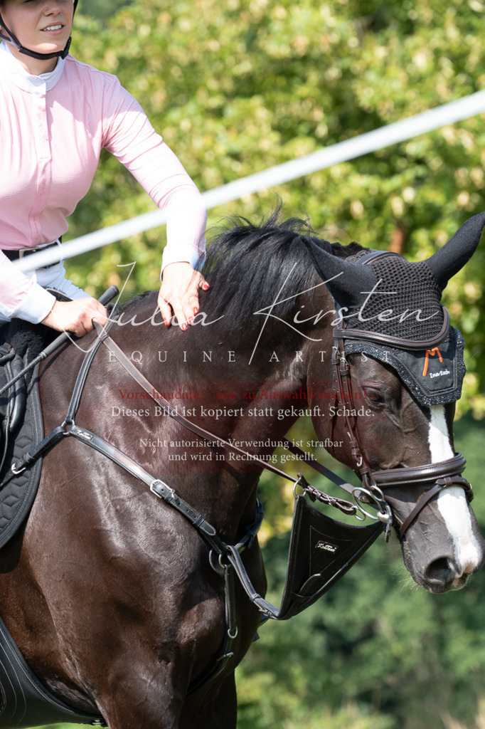 DSC_0872 | Pferde- und Turnierfotografie in Westsachsen. Pferdeportraits, Auftragszeichnungen und intuitive Kunst.