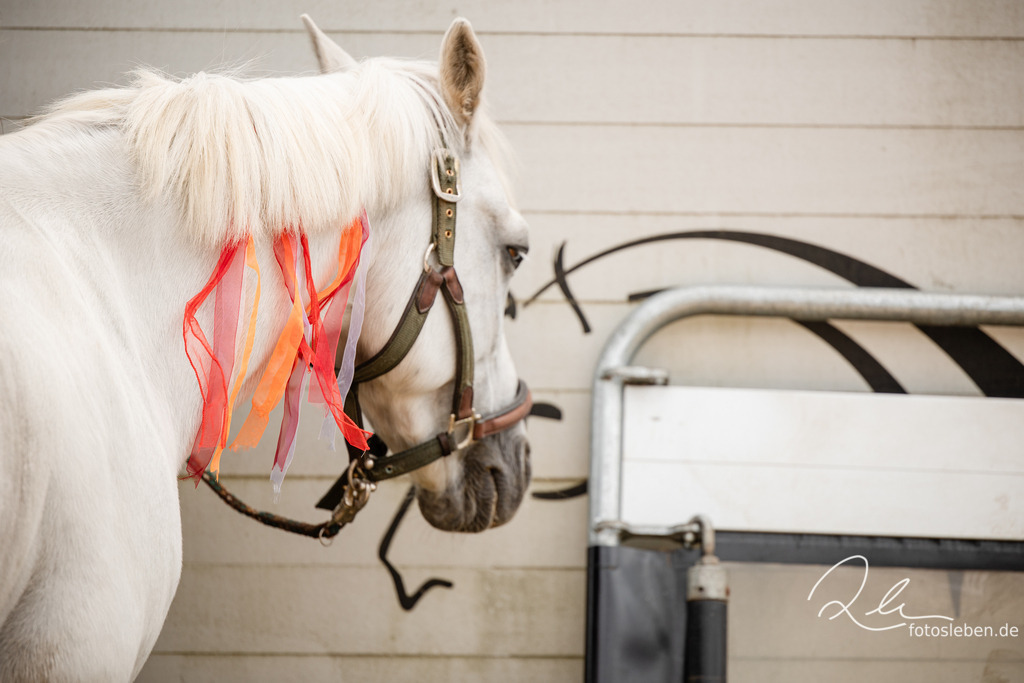 846A0005 | fotosleben - Realized with Pictrs.com