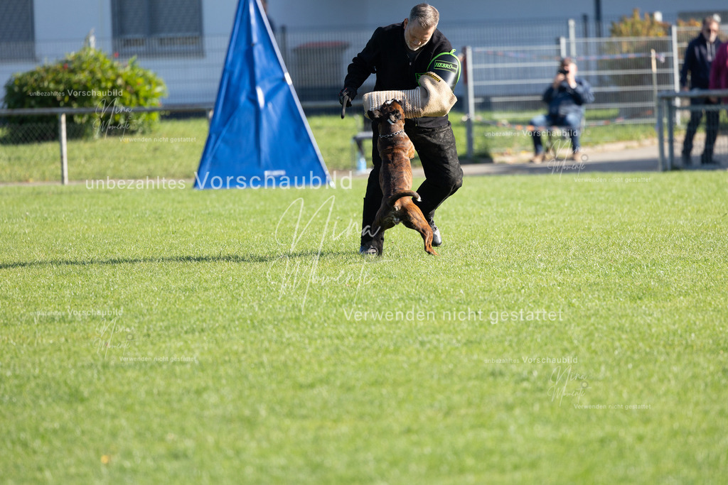 _16A5144 | Einzigartige Fotos von Hunden & Menschen –Actionfotos, Portraits, Vereinsaufnahmen & Paarshootings – authentisch, lebendig & mit Herz.