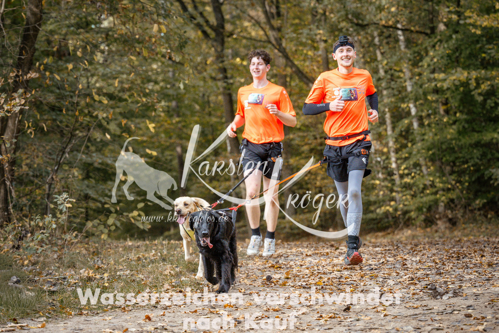 1311_ZZ97639 | kk-dogfotos