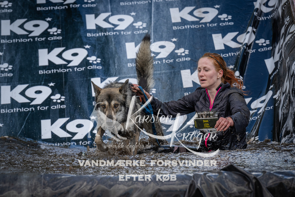 1541_ZZ90574 | kk-dogfotos