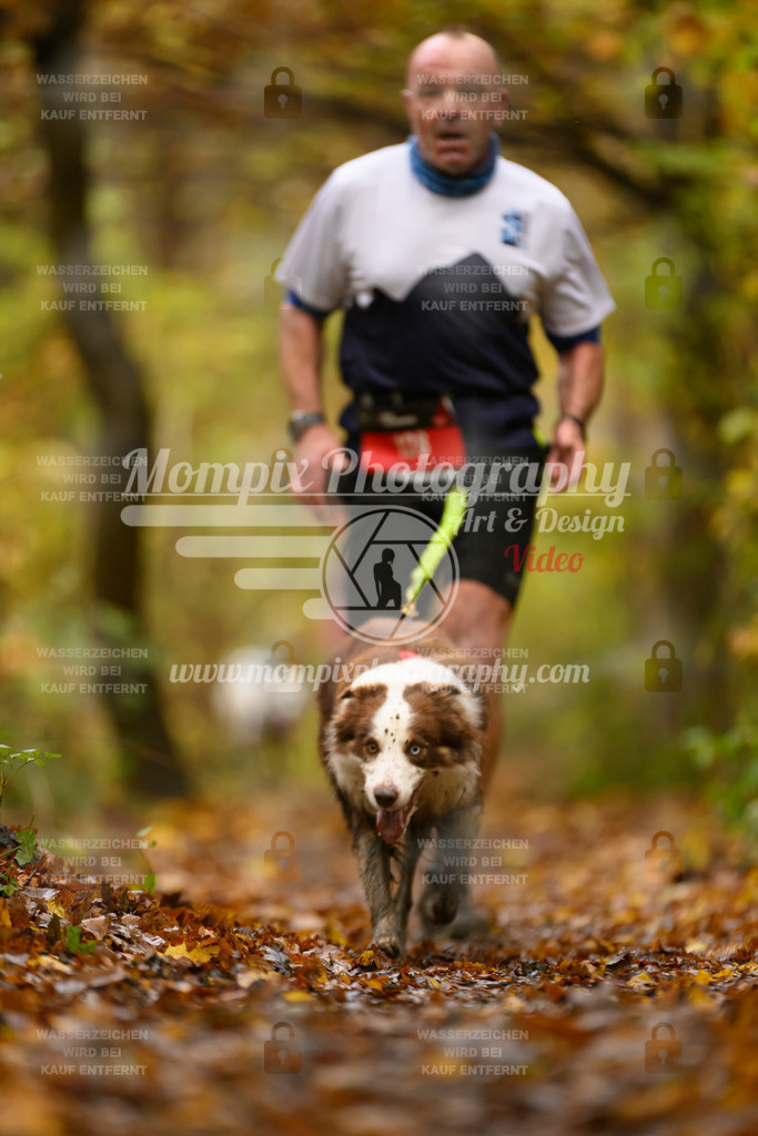 MompixPhotography_CD7S_DI_CCL-83 | mompixphotography