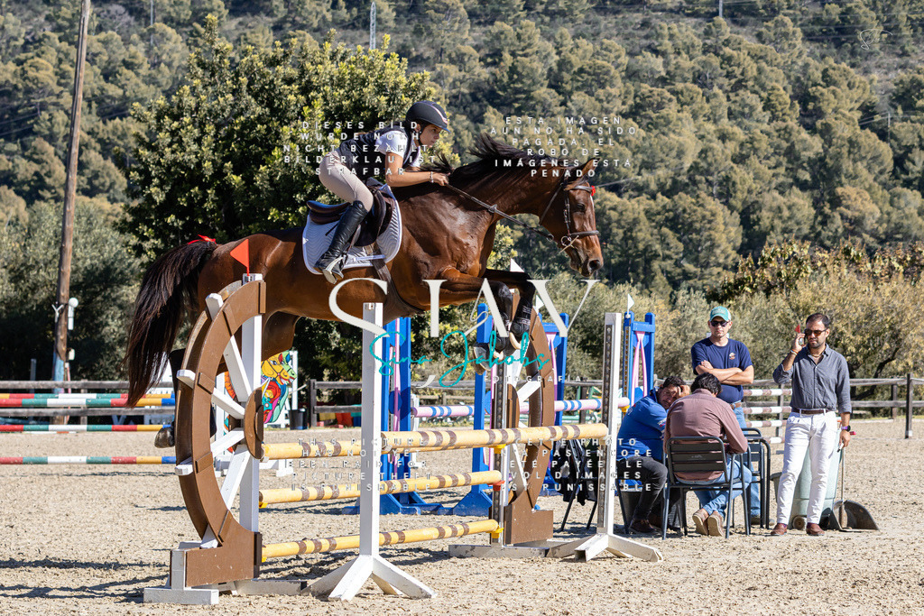 IMG_9928 (2) | s-jay-photography - Realisiert mit Pictrs.com