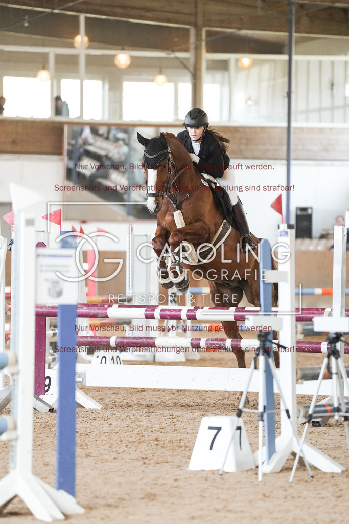 DSC00145 | Reitturnier_Göppingen_April_2026, Jule_Frech, Albertino_40