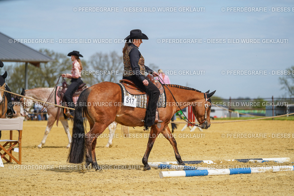 DSC03995 | Pferdegrafie