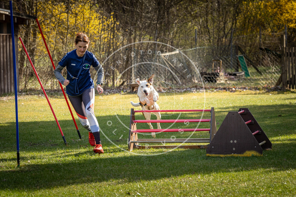 Pfotenfotografie_DV3A1918 | Hundefotografie, Tierfotograf, Pfotenfotografie, Fotoshooting Hund, Hunde Portrait, Hundesport, Hundeportraits, Heideshooting, Hunde, Sportfotograf, Hundefotograf, Turnierhundsport, THS,  - Realisiert mit Pictrs.com