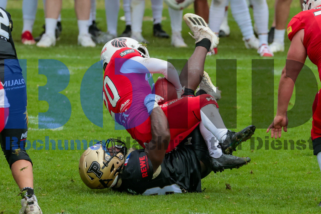 GFL: Paderborn Dolphins vs. New Yorker Lions{date} -  | {headline}(Foto: Sebastian Sendlak / BOND) - Realisiert mit Pictrs.com