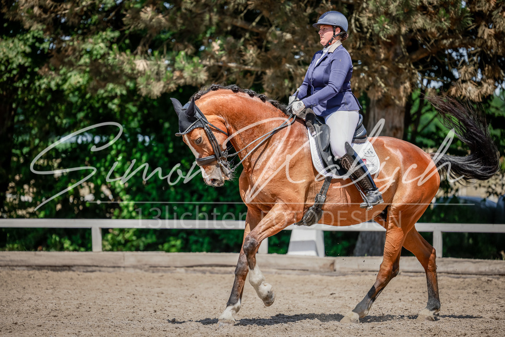 20250621-_3LI8636 | Tierfotografie Pferde, Hunde, Katzen, Haustiere.
Turnierfotografie Reitturniere, Reiten, Springreiten, Dressur in Hanau, dem Main-Kinzig-Kreis und dem Rhein-Main- Gebiet um Frankfurt