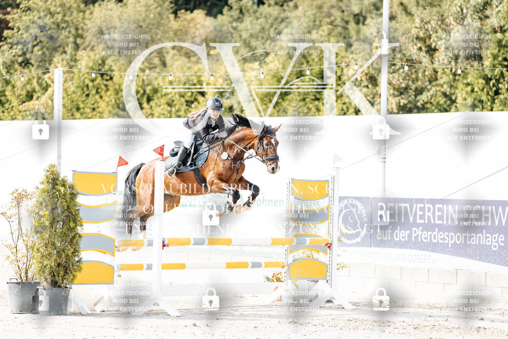 CK905638 | Turnierfotografie Pferdefotografie Trier Rheinland-Pfalz Pferdesport Reitsport Tierfotografie Sportfotografie Pferdevideo Pferdevideografie Equestrianvideography equestrianphotography  - Realisiert mit Pictrs.com