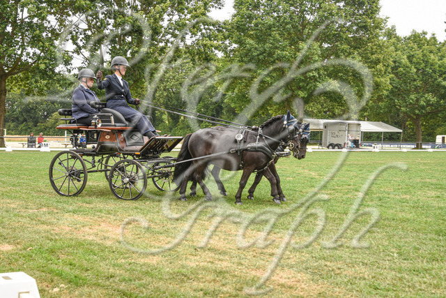 DSC_3460 | Studio i24 - Professionelle Fotografie