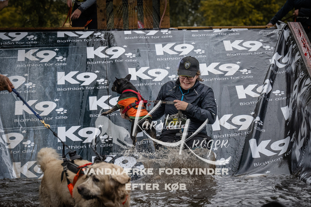 1202_ZZ94113 | kk-dogfotos