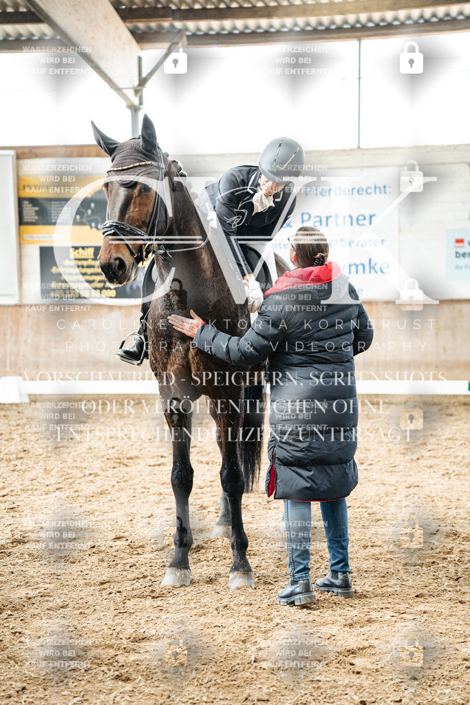 CK703142 | Turnierfotografie Pferdefotografie Trier Rheinland-Pfalz Pferdesport Reitsport Tierfotografie Sportfotografie Pferdevideo Pferdevideografie Equestrianvideography equestrianphotography  - Realized with Pictrs.com