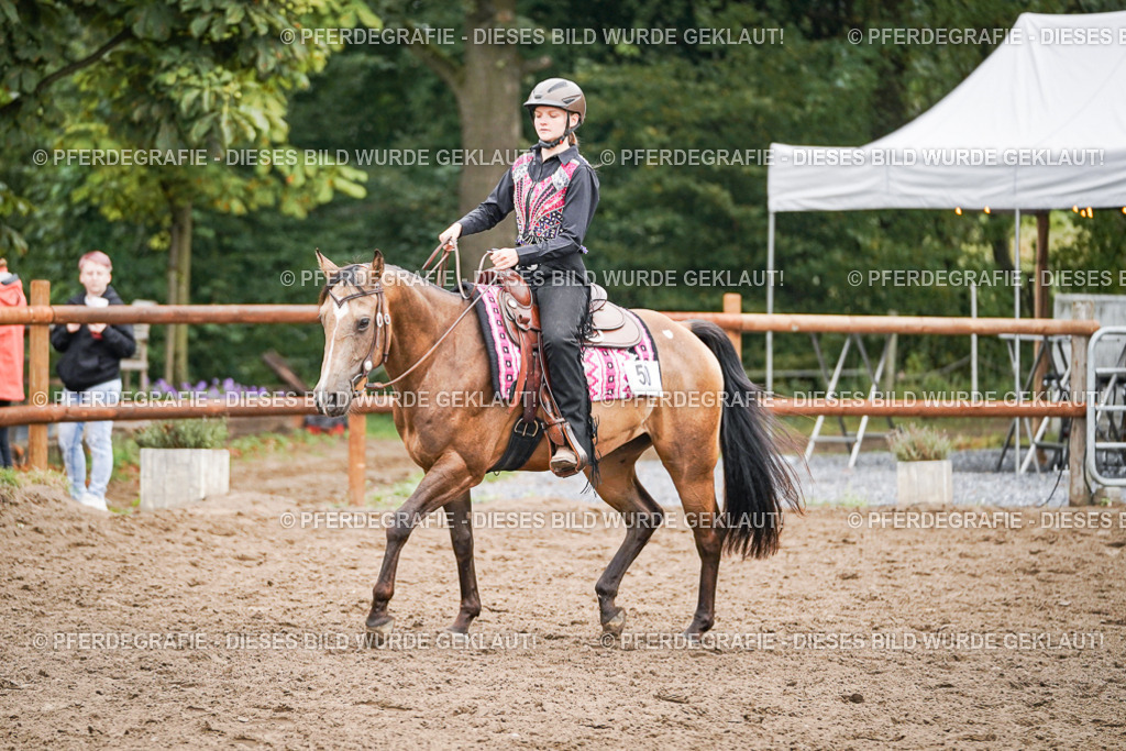 DSC02470 | Pferdegrafie