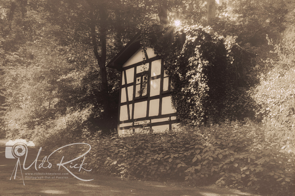 Zugewachsen | Entdecken Sie Fotografie aus Leidenschaft: Auftragsfotografie, HD-Fotos, Geschenkartikel aus Ihren Bildern und vieles mehr. Beauftragen Sie uns für besondere Momente!