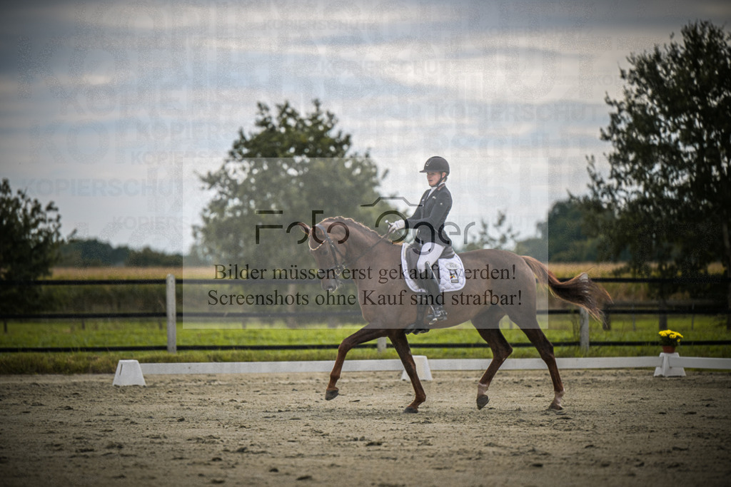 DOS_1711 | Entdecke hochwertige Reitturnierfotos von Foto Oger. Professionell, emotional und authentisch – jetzt Lieblingsmomente im Shop bestellen.Deutschlandweite Turnierfotografie. - Realisiert mit Pictrs.com