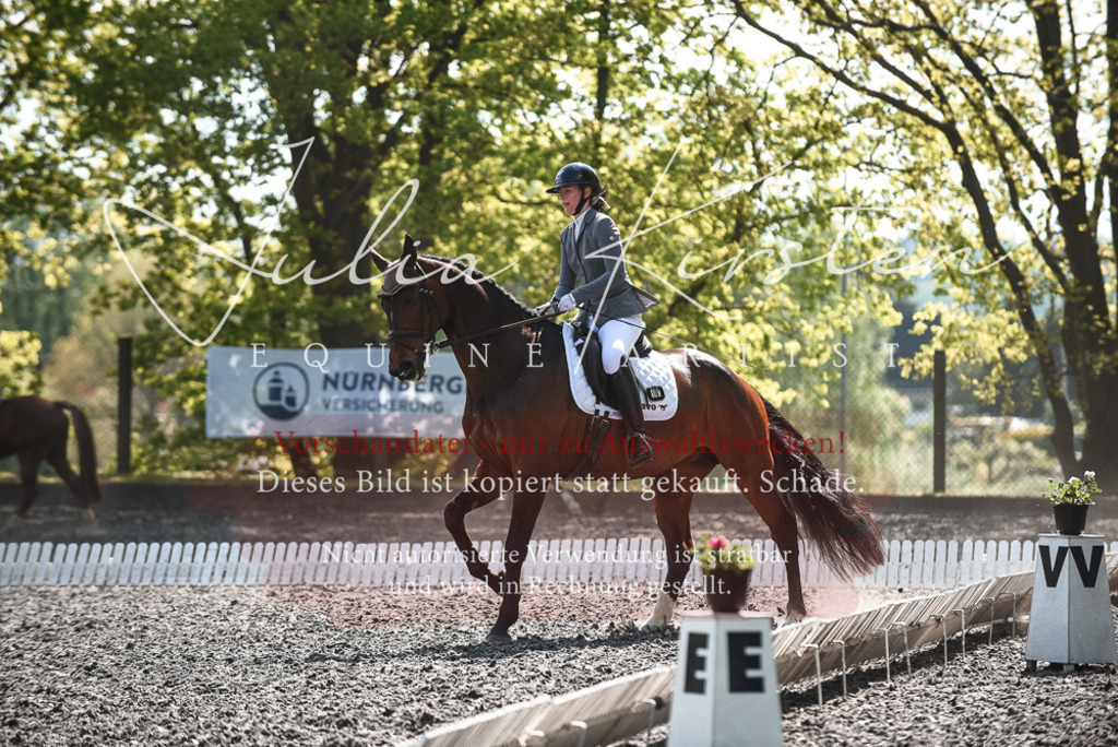 DSC_8975 | Pferde- und Turnierfotografie in Westsachsen. Pferdeportraits, Auftragszeichnungen und intuitive Kunst.