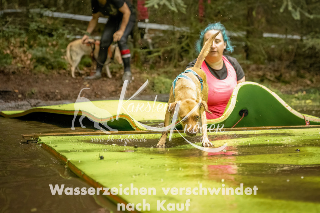 1418_ZZ91890-Bearbeitet | kk-dogfotos
