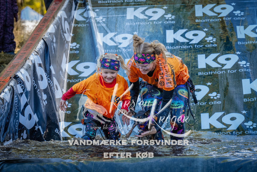 1434_ZZ93423 | kk-dogfotos