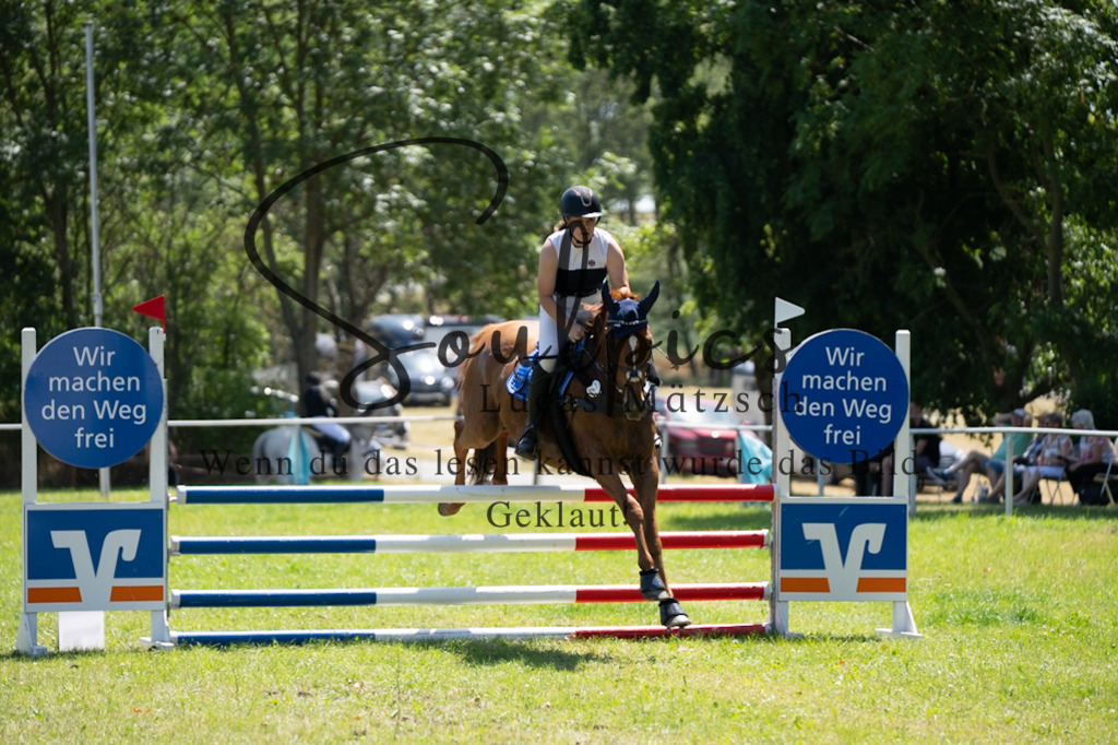 A7V06066 | Pferdefotograf