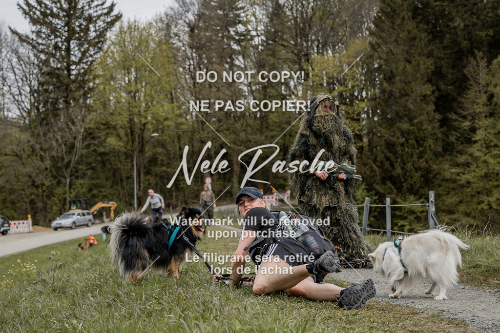NR__2650 | nelerasche