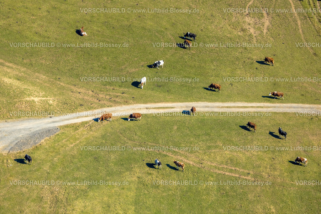 Wenden250307586LandwirtStrickerDoeingen | Luftbild, landwirtschaftlicher Betrieb Sonnenhof und Kühe auf der Weide, Heid, Wenden, Sauerland, Nordrhein-Westfalen, Deutschland
