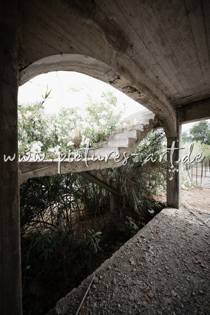 DSC09922 | pictures-art.de