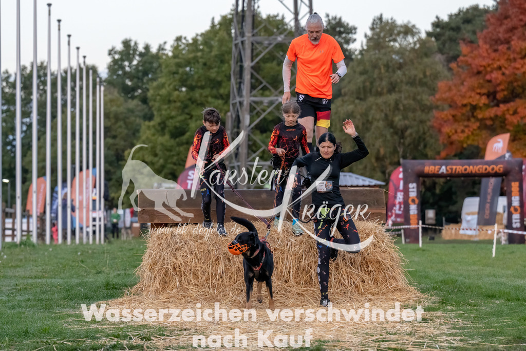 0801_ZZ93886-Bearbeitet | kk-dogfotos