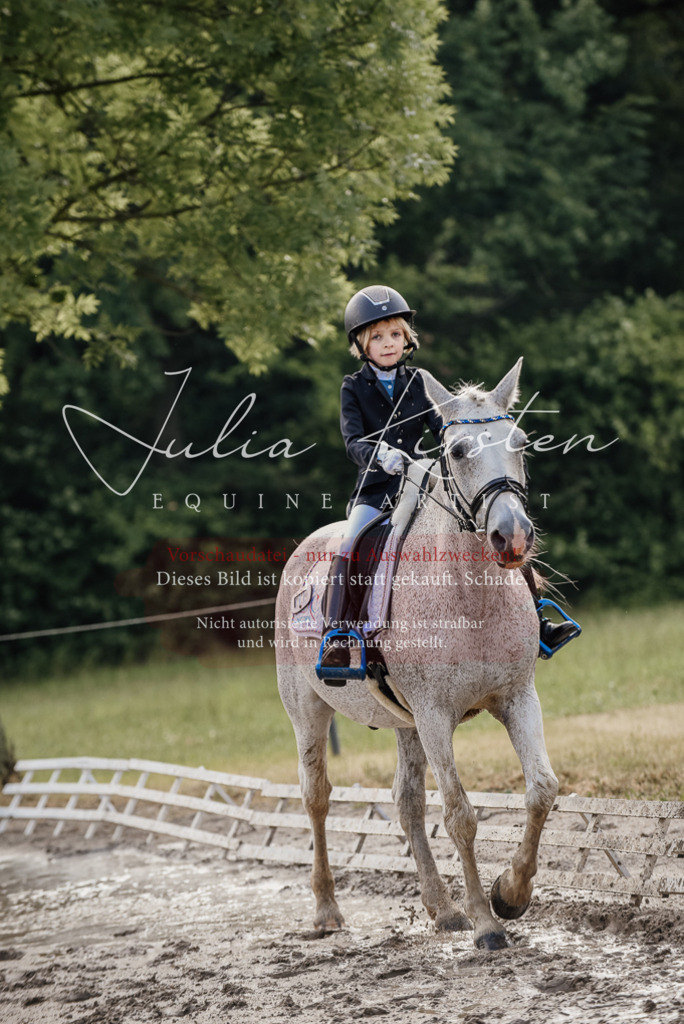 DSC_8278 | Pferde- und Turnierfotografie in Westsachsen. Pferdeportraits, Auftragszeichnungen und intuitive Kunst.