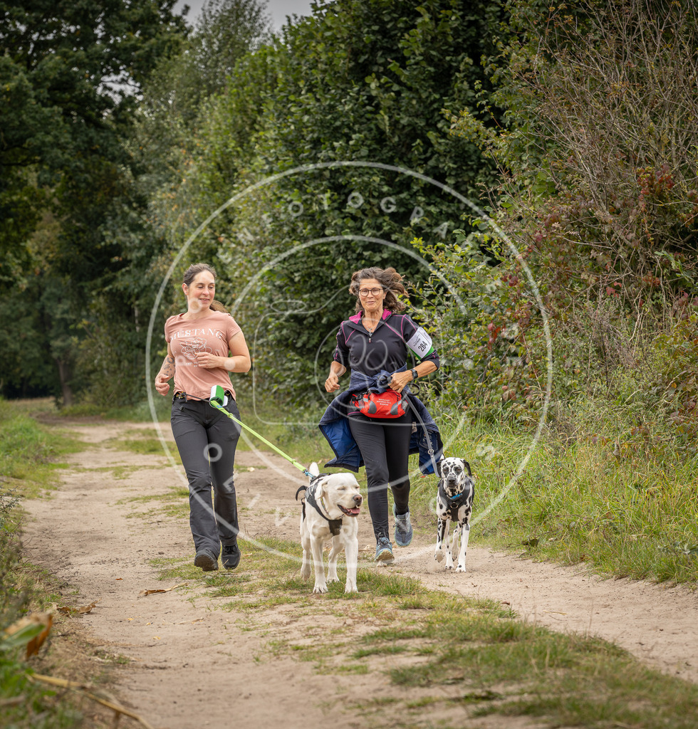 Pfotenfotografie_DV3A8376 | Hundefotografie, Tierfotograf, Pfotenfotografie, Fotoshooting Hund, Hunde Portrait, Hundesport, Hundeportraits, Heideshooting, Hunde, Sportfotograf, Hundefotograf, Turnierhundsport, THS,  - Realisiert mit Pictrs.com