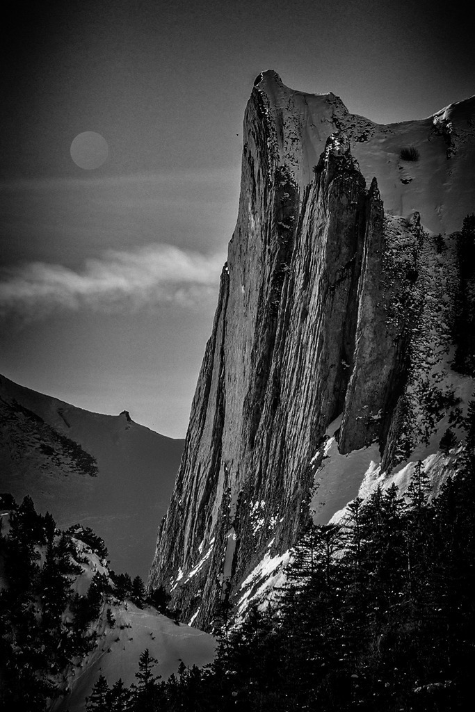 2024_01_14 A7V03087 | bridgeman - Realisiert mit Pictrs.com