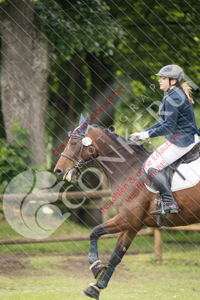 IMG_2680 | Sport-, Event- und Tierfotos in Profiqualität. Einfach auswählen, bestellen und herunterladen. Dein Moment – perfekt festgehalten.